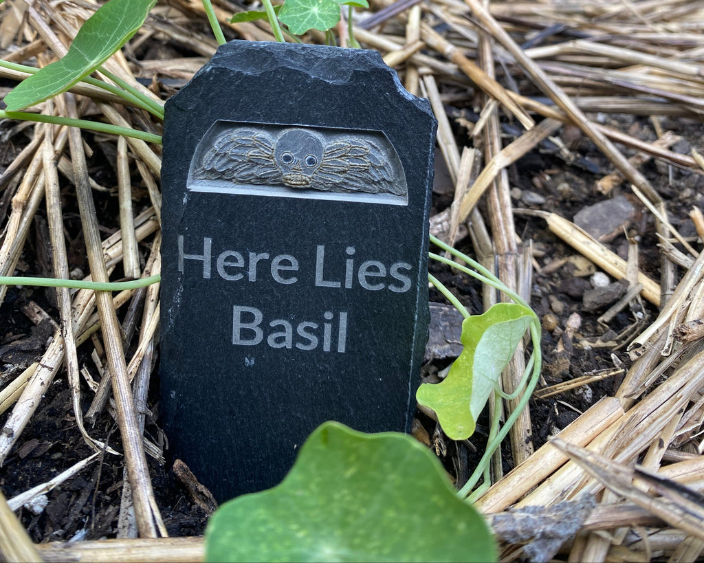 Garden tombstone in garden
