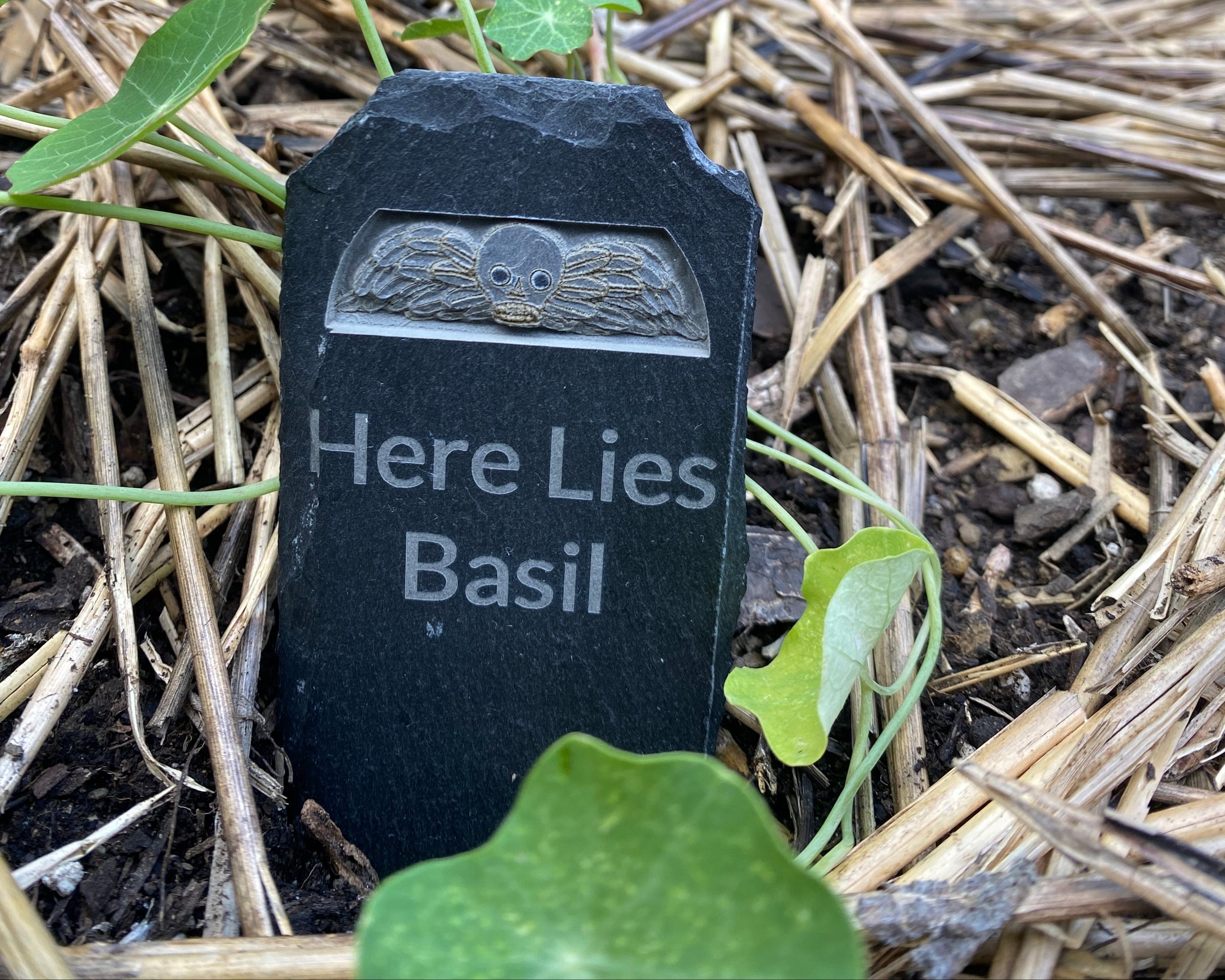 Garden tombstone in garden