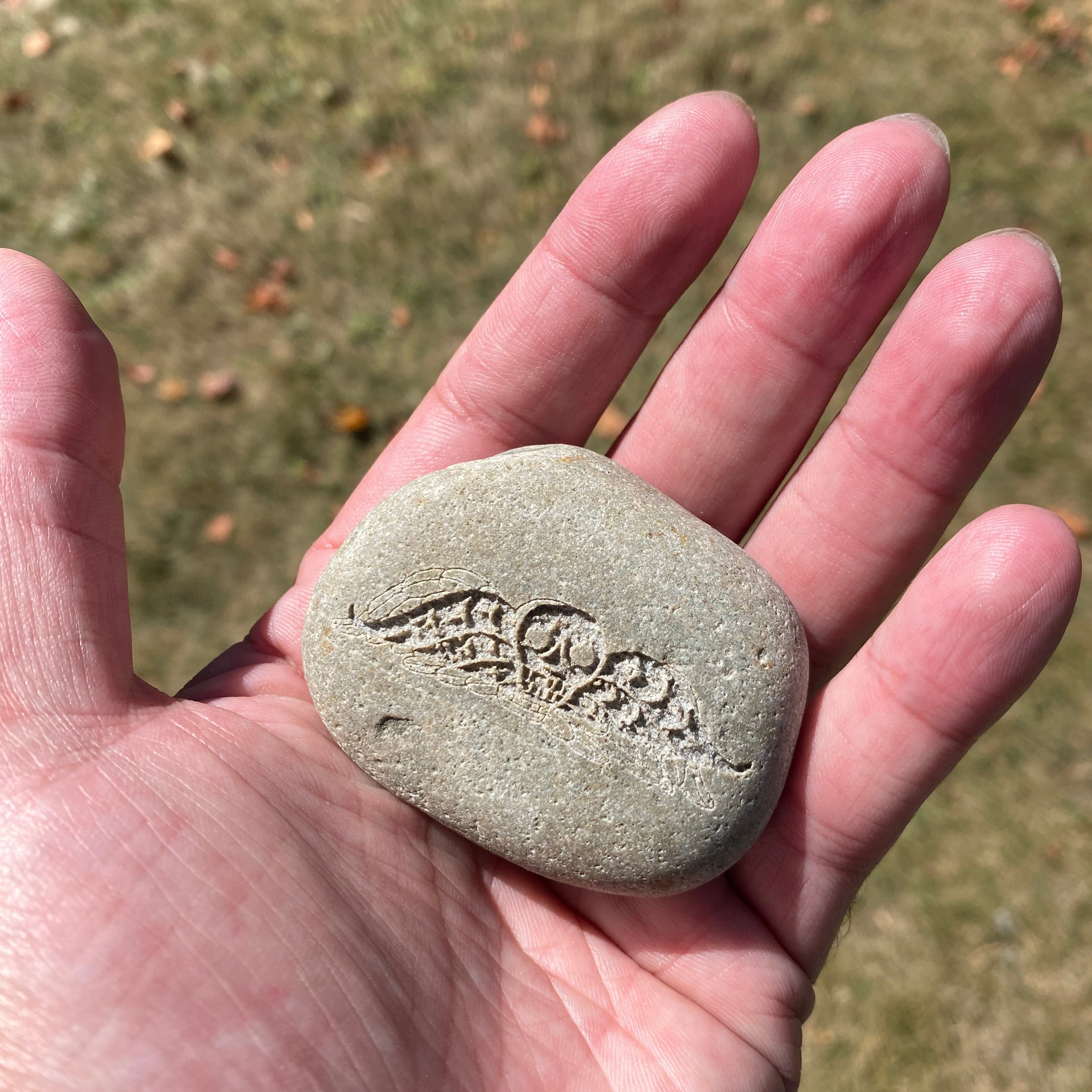Hand holding a stone with a engraved design against a grassy background