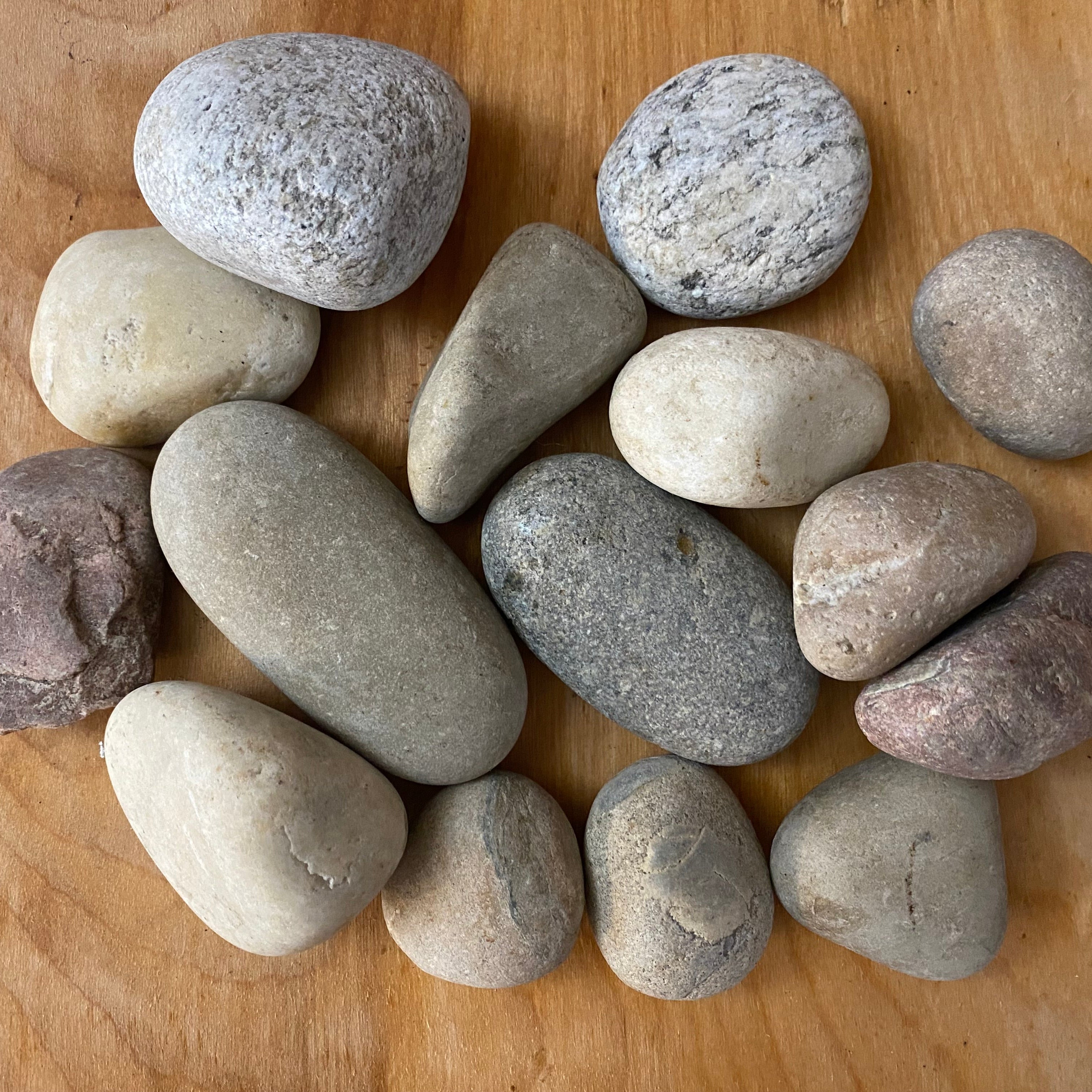 assorted rocks