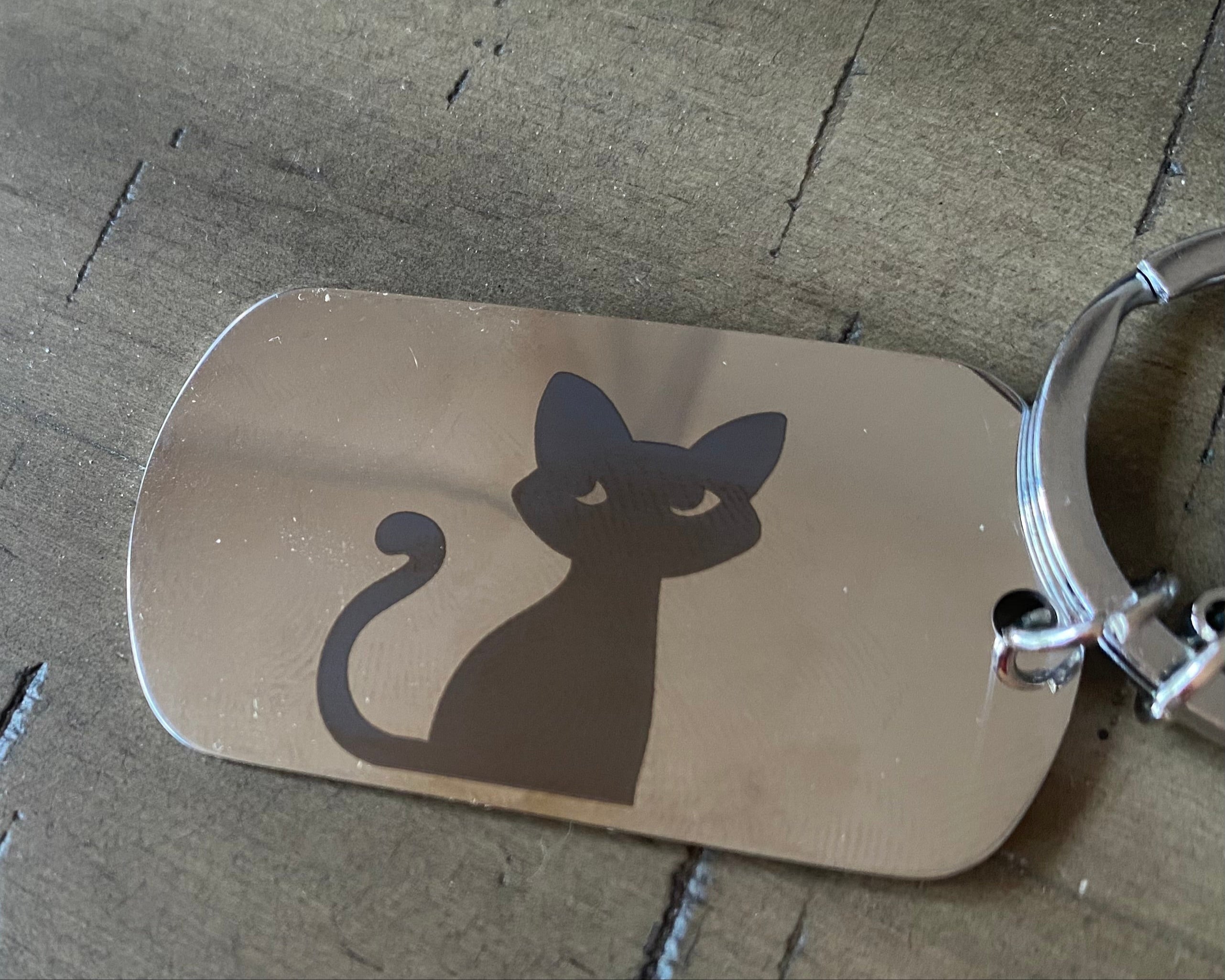 black cat